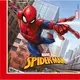 20 Spiderman Fighter Paper Napkins 33 x 33 cm