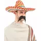Multicolored Mexican Sombrero for Adults
