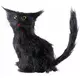 Black Cat 12 cm Halloween