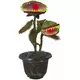 Animert kjøttetende plante 42 cm
