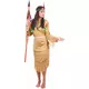 Indian costume long dress for women