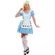 Wonder Princess costume for women, Size: Large