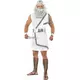 Zeus costume for men