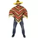Adult Mexican poncho