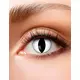 Cat eye fancy linser 3 måneder voksen