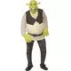 Shrek costume for men, Size: Large