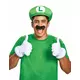 Luigi Adult Accessory Set, image 2