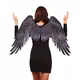 Adult Black Fabric Gothic Angel Wings, image 2
