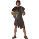 Plastic Barbarian Shield and Sword, image 2