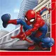20 Spiderman Fighter Paper Napkins 33 x 33 cm, image 2