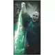Harry Potter Voldemort Door Decoration, image 2