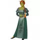 Fiona Shrek-kostyme for kvinner, Størrelse: Medium, bilde 2