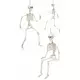 90 cm Halloween Articulated Skeleton, image 2