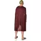 Adult Roman costume, Size: Large, image 2
