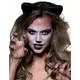 Cat eye fancy linser 3 måneder voksen, bilde 2