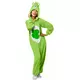 Touching Green Care Bear Costume for Adults, Size: Medium, image 2