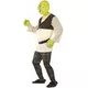 Shrek costume for men, Size: Large, image 3