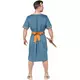 Adult Roman King Costume, Size: X-Large, image 4