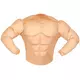 Adult military muscle fake torso, Size: Large, image 4